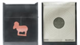 Target cards, knockdown targets and pellet traps suitable for use with air guns and air rifles.