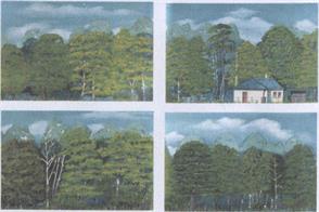 A set of 4 approx. A4 dense, mature woodland backscene sections. These scenes can be joined together to make a long woodland backdrop, the sequence for this is indicated and can be repeated. The use of similar background trees along the edge of the scene will enhance the appearance and can cover up joins easily.Sheets designed to form a continuous scene 1140mm 45in long, to which extra BS11 packs can be added to extend to the length needed. Height including overcast sky 190mm 7 1/2in.