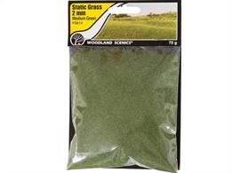Static Grass Medium Green 2mm.Static Grass is a special material that stands upright when it is appliedUse Static Grass to model fields and other tall grasses. Blend multiple lengths and colors of Static Grass to replicate all phases of growth.