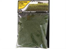 Static Grass Dark Green 12mm.Static Grass is a special material that stands upright when it is appliedUse Static Grass to model fields and other tall grasses. Blend multiple lengths and colors of Static Grass to replicate all phases of growth.